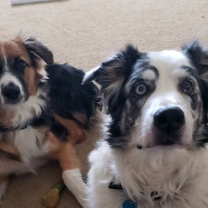 Meet your Posher, Wendy